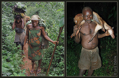 African Pygmies in the rain forest, photogallery with soundscapes