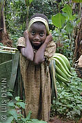 Pygmy girl with a bunch of African green bananas plantains