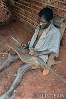Harp-zither of the Baka Pygmies
