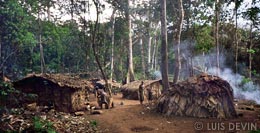 Accampamento in foresta