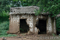 Bedzan/Tikar Pygmy hut