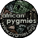 Index of the section about African Pygmies
