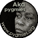 Index of the section about Aka Pygmies