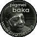 Indice della sezione dedicata ai Pigmei Baka
