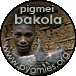 Indice della sezione dedicata ai Pigmei Bakola