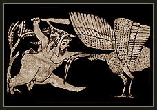 Pygmy - Meaning, origin and use of the word