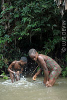 Tamburi d'acqua pigmei in Africa centrale