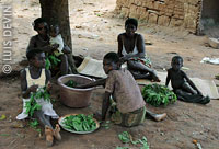 Donna pigmea Bedzan che cucina foglie di manioca