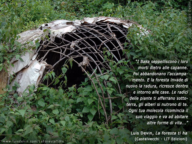 Capanna abbandonata, dalle ricerche antropologiche di Luis Devin in Africa centrale (Pigmei Baka, Camerun)