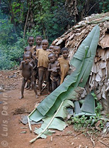 Capanna di foglie (Pigmei Baka, Camerun)