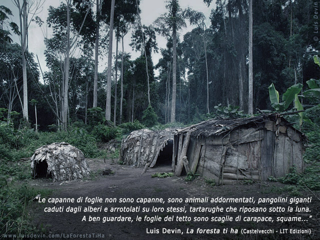 Capanne in foresta, dalle ricerche antropologiche di Luis Devin in Africa centrale (Pigmei Baka, Camerun)