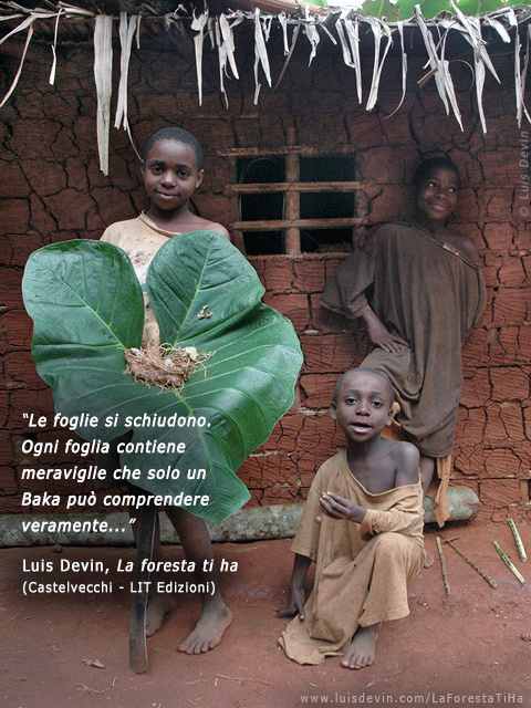 Ignami selvatici, dalle ricerche antropologiche di Luis Devin in Africa centrale (Pigmei Baka, Camerun)