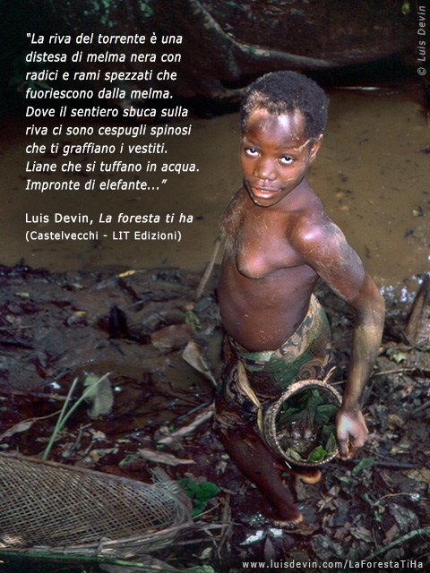 Pesca con la diga, dalle ricerche antropologiche di Luis Devin in Africa centrale (Pigmei Baka, Camerun)