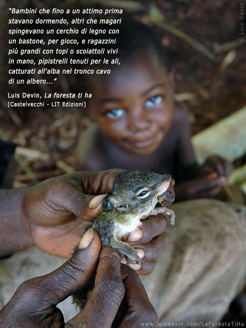 Scoiattolo catturato, dalle ricerche antropologiche di Luis Devin in Africa centrale (Pigmei Baka, Camerun)