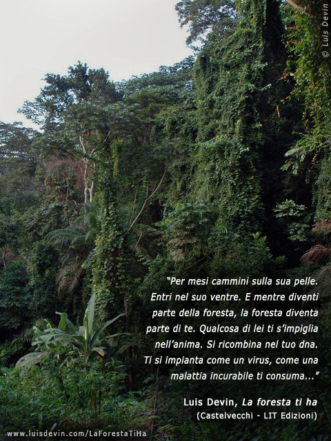 Foresta equatoriale, dalle ricerche antropologiche di Luis Devin in Africa centrale (Camerun)