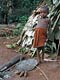 Chiocciole giganti (Pigmei Baka, Camerun)