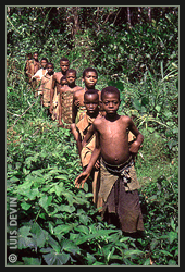 Pigmei africani nella foresta pluviale del Camerun