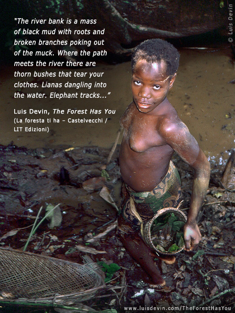 Dam fishing, from Luis Devin's anthropological research in Central Africa (Baka Pygmies, Cameroon)