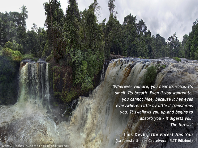 Rainforest waterfalls, from Luis Devin's anthropological research in Central Africa (Gabon)