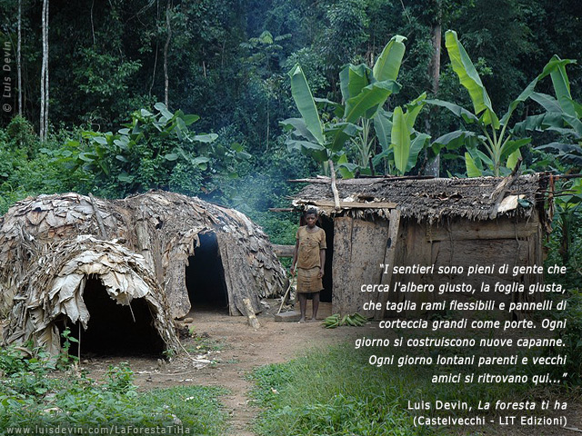 Leaf huts, from Luis Devin's anthropological research in Central Africa (Baka Pygmies, Cameroon)