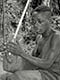 Pygmy harp (Baka Pygmies, Cameroon)
