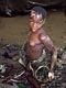 Dam fishing (Baka Pygmies, Cameroon)