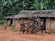 Rainforest village (Baka Pygmies, Cameroon)