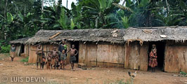 Baka Pygmy bark huts