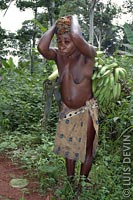 Pygmy woman with a bunch of African plantains