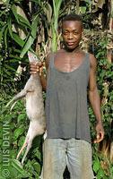 Pygmy hunter with a small antelope (Blue Duiker)
