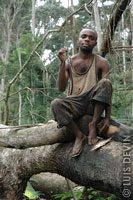 Pygmy man sitting on a fallen tree in the rainforest of Cameroon