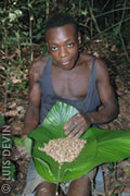 Pygmy boy with freshly picked termite larvae