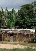 Mud house (Bakoya Pygmies)