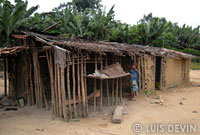 Bakoya Pygmy house
