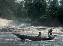Moving on a pirogue (Bakola-Bagyeli Pygmies, Cameroon)