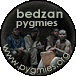 Index of the section about Bedzan Pygmies