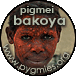 Indice della sezione dedicata ai Pigmei Bakoya