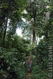 Luis Devin su un sentiero nella foresta equatoriale che porta a un villaggio Bakola