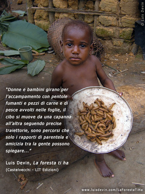 Raccolta dei bruchi, dalle ricerche antropologiche di Luis Devin in Africa centrale (Pigmei Baka, Gabon)