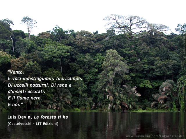 Fiume nella foresta pluviale, dalle ricerche antropologiche di Luis Devin in Africa centrale (Camerun)