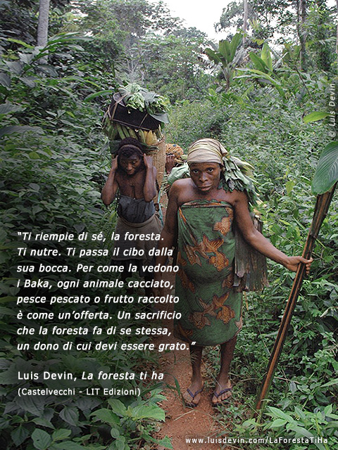Raccolta in foresta, dalle ricerche antropologiche di Luis Devin in Africa centrale (Pigmei Baka, Camerun)