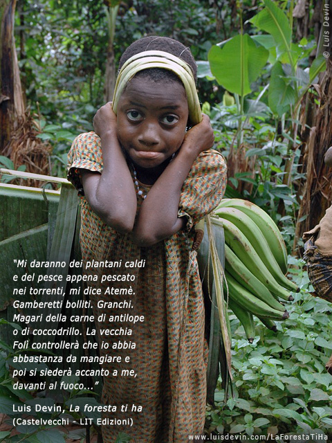 Raccolta dei plantani, dalle ricerche antropologiche di Luis Devin in Africa centrale (Pigmei Baka, Camerun)