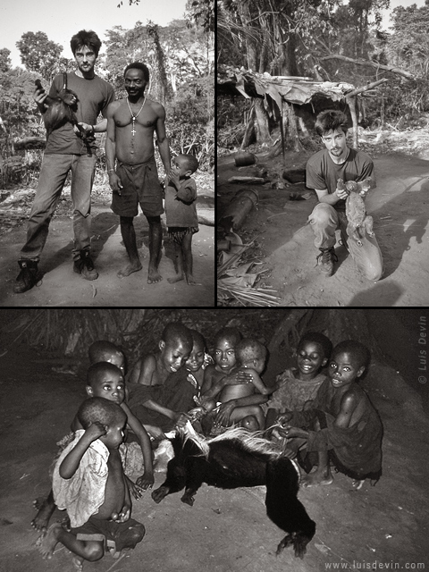 Ritorno dalla caccia, dalle ricerche sul campo di Luis Devin in Africa centrale (Pigmei Baka, Camerun)