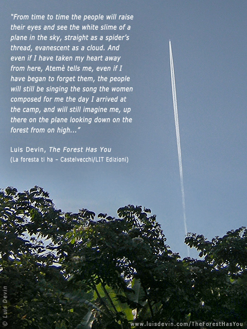 Airplane over the forest, from Luis Devin's anthropological research in Central Africa (Gabon)