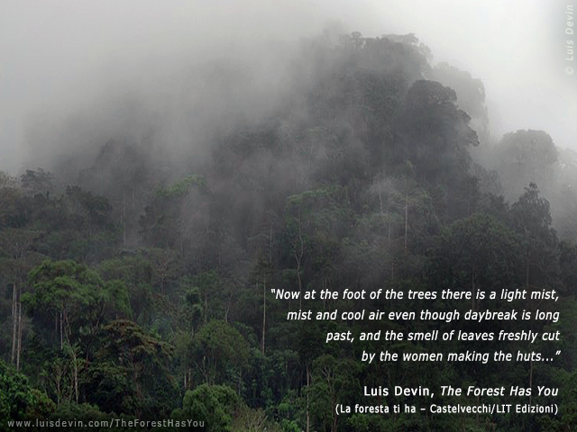 Rainforest fog, from Luis Devin's anthropological research in Central Africa (Baka Pygmies, Cameroon)