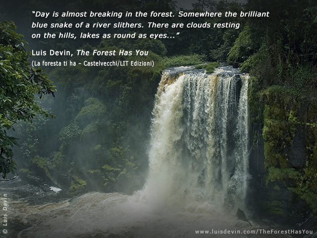The great waterfall, from Luis Devin's anthropological research in Central Africa (Gabon)