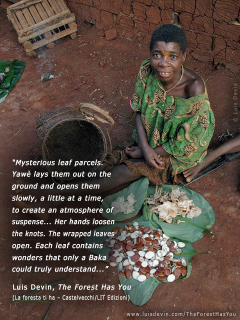 Forest products, from Luis Devin's anthropological research in Central Africa (Baka Pygmies, Cameroon)
