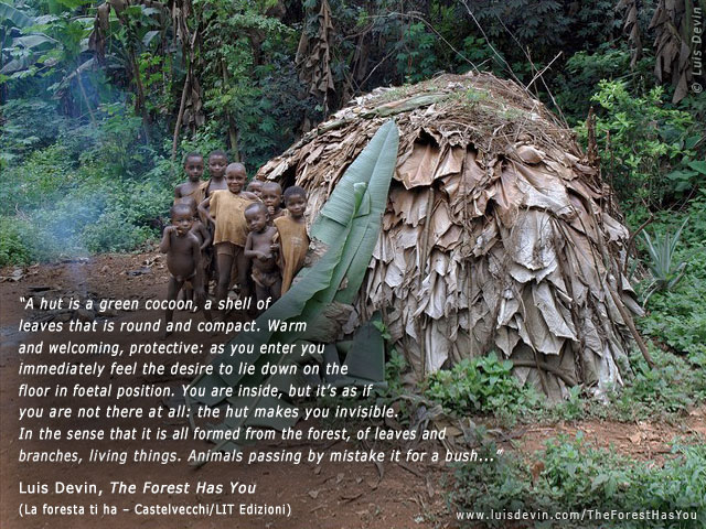 Leaf hut, from Luis Devin's anthropological research in Central Africa (Baka Pygmies, Cameroon)