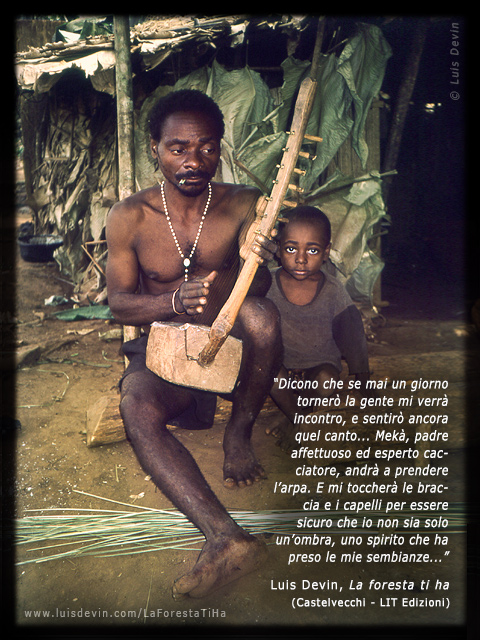 Arched harp, from Luis Devin's anthropological research in Central Africa (Baka Pygmies, Cameroon)