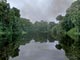 The black river (Cameroon)